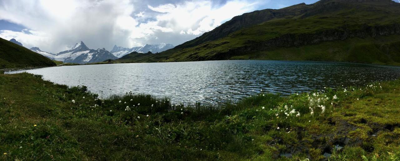 Appartamento Silberhorn Grindelwald Esterno foto
