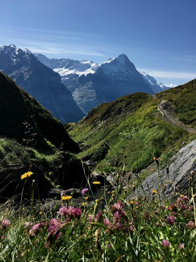 Appartamento Silberhorn Grindelwald Esterno foto