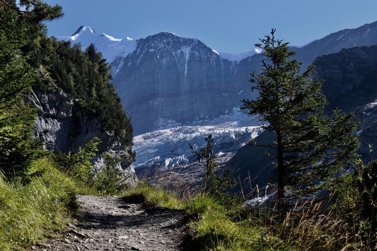 Appartamento Silberhorn Grindelwald Esterno foto